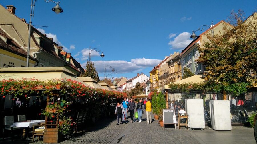 From Brasov: Guided Sighisoara and Sibiu Private Day Trip - Who should book this day trip from Brasov