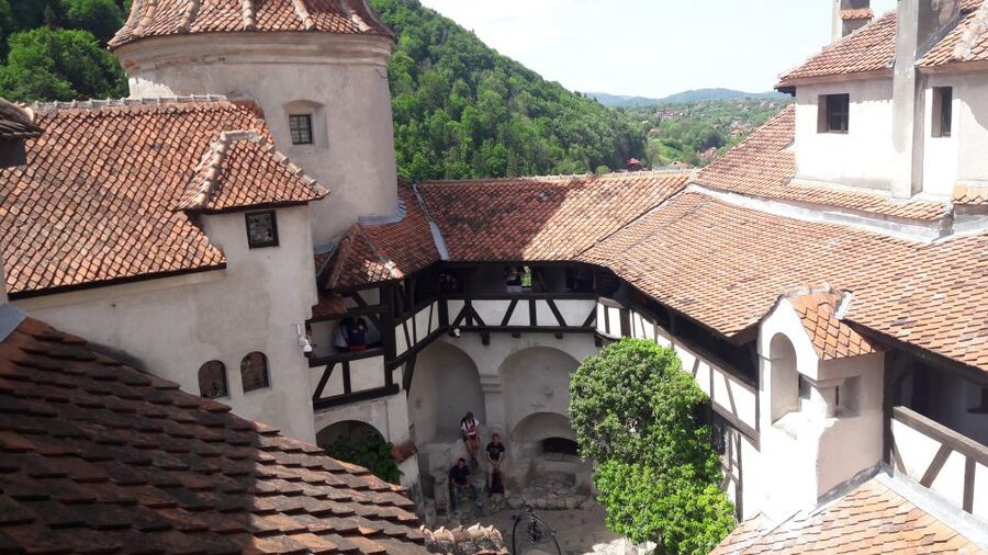 From Brasov: Peles Castle, Bran Castle & Cantacuzino Castle - Key Points I’d Use to Decide
