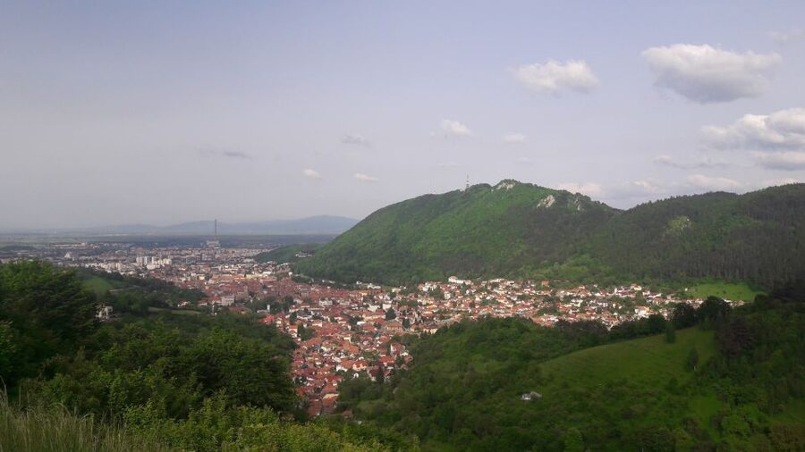 From Brasov: Peles Castle, Bran Castle & Cantacuzino Castle - Booking Advice: The Small Things That Make or Break the Day