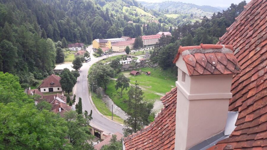 From Brasov: Peles Castle, Bran Castle & Cantacuzino Castle - Lunch Stop: How to Eat Well Without Losing Time