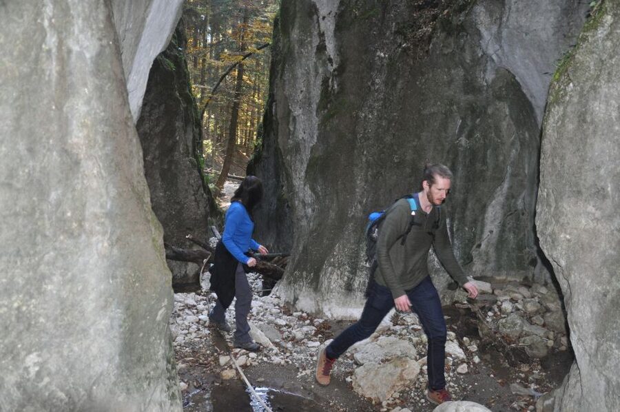 From Brasov: Piatra Craiului National Park Private Day Tour - Who this tour suits best (and who should skip it)