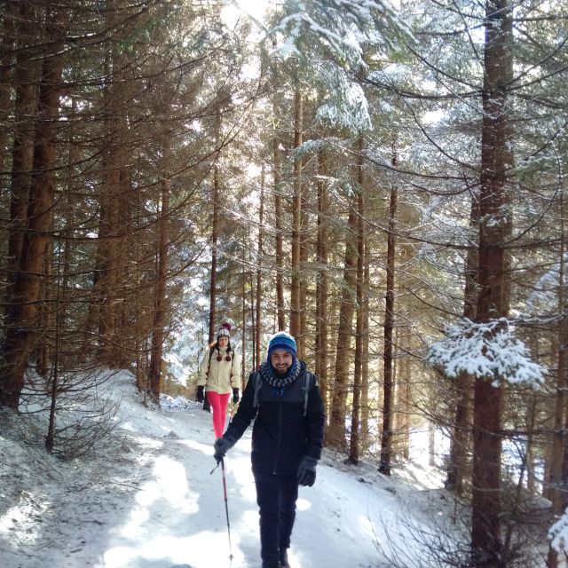 From Brasov: Piatra Craiului National Park Private Day Tour - A Private Piatra Craiului Day from Brasov, for $111