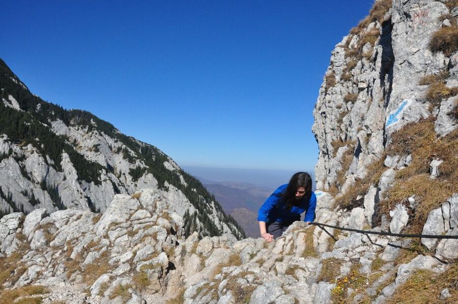 From Brasov: Piatra Craiului National Park Private Day Tour - The Drive Out: why pickup makes the day feel lighter