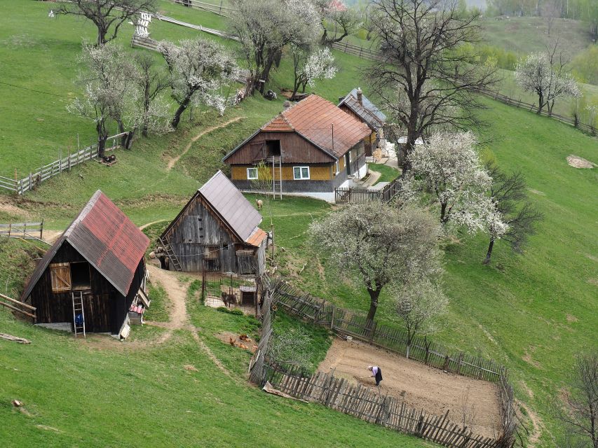 From Brasov: Romanian Mountain Villages Day Tour - From Brașov to Piatra Craiului: The Countryside Drive Sets the Tone