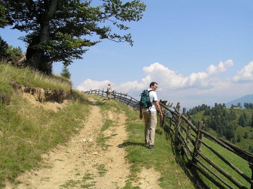 From Brasov: Romanian Mountain Villages Day Tour - Magura Hills and Meadows: Your 3–4 Hour Trek (With Real-World Effort)