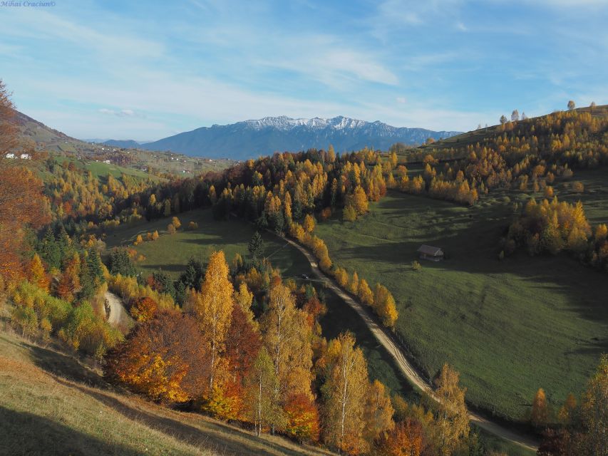 From Brasov: Romanian Mountain Villages Day Tour - Pestera Village and the Local Church Stop: Finishing With Culture Close Up