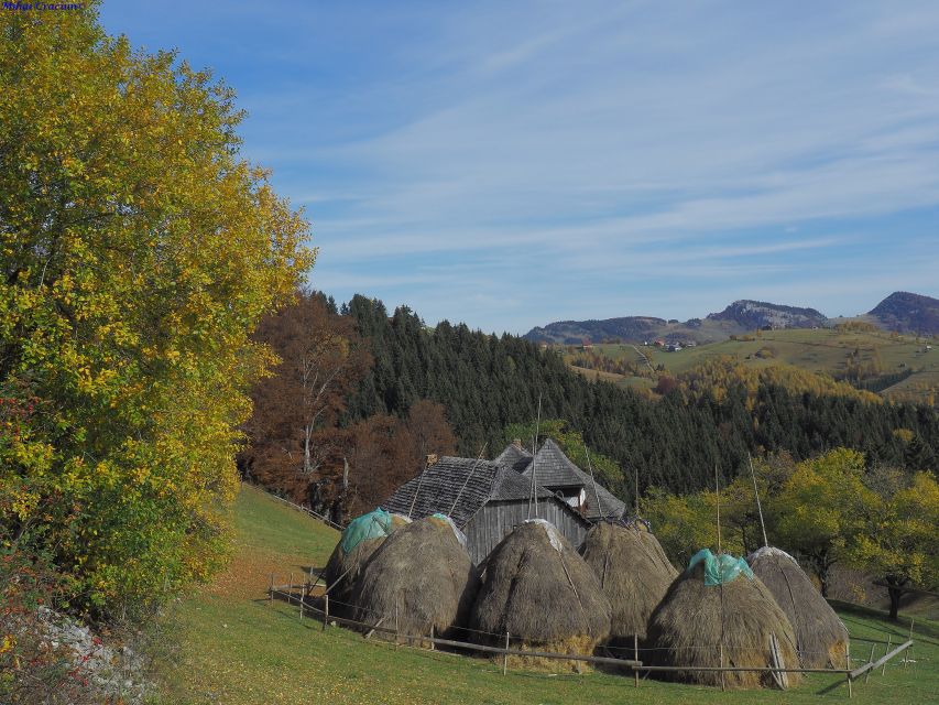From Brasov: Romanian Mountain Villages Day Tour - Price and Value: Is $116 Reasonable for This Much Included?