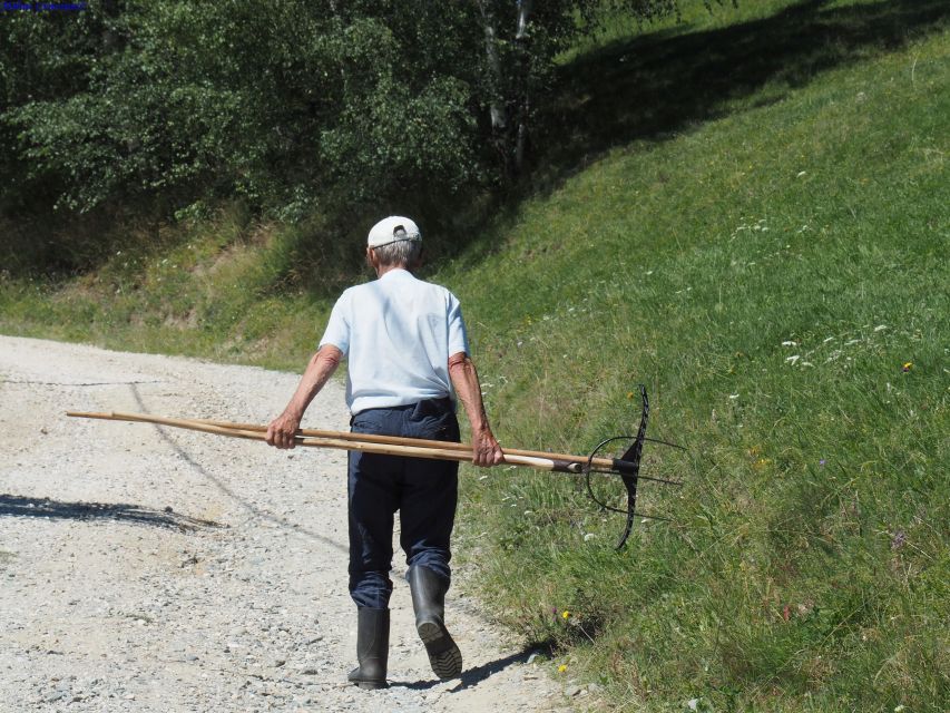From Brasov: Romanian Mountain Villages Day Tour - The Bat Cave Stop: Where the Teary Limestone Story Actually Shows Up