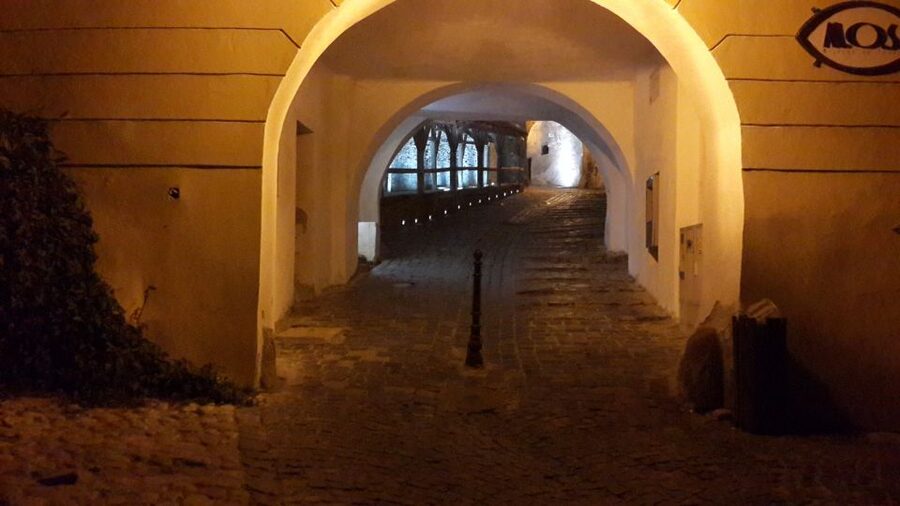 From Brasov: Sighisoara and Viscri UNESCO Day Tour - King Charles house and village culture: the details that make Viscri real