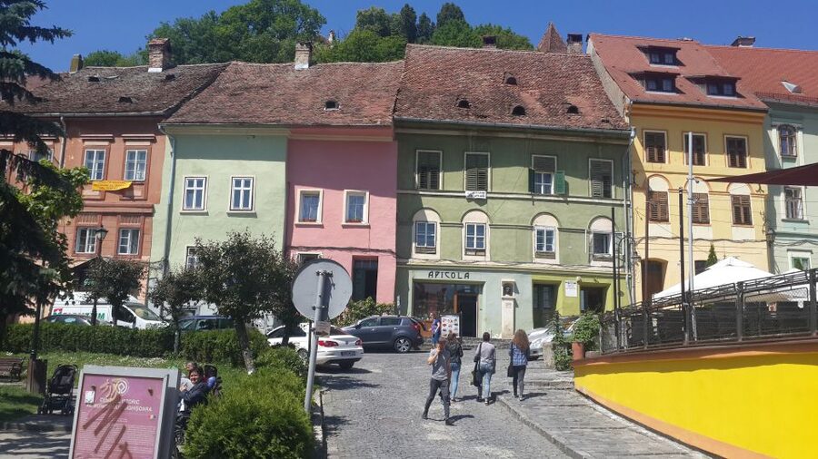 From Brasov: Sighisoara and Viscri UNESCO Day Tour - Sighișoara Fortress: citadel streets, Clock Tower views, and Vlad links