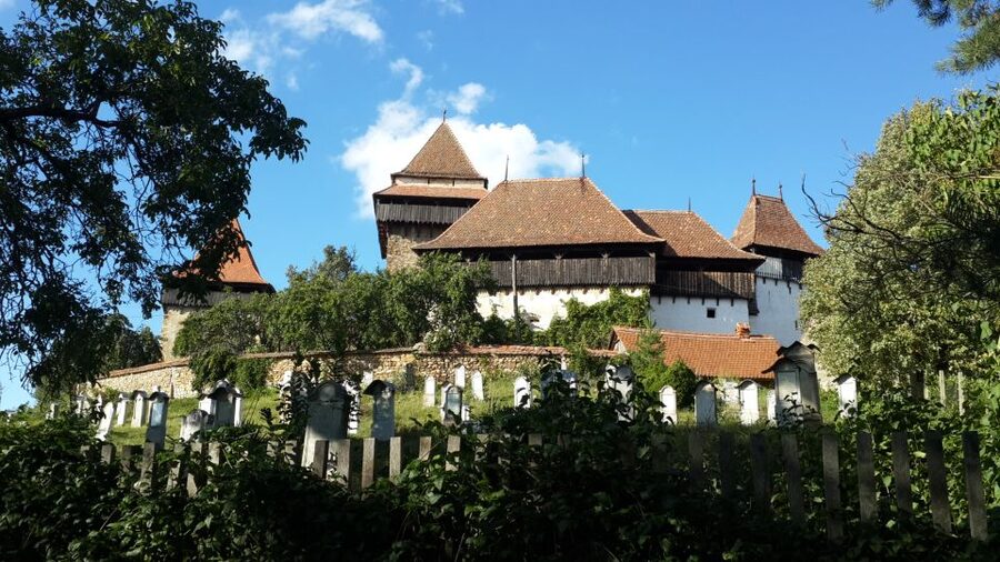 From Brasov: Sighisoara and Viscri UNESCO Day Tour - Free time in the citadel: how to spend it without missing the best views