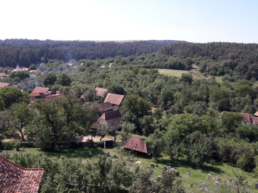 From Brasov: Sighisoara, Viscri, and Rupea Unesco Day Trip - Key highlights worth your attention