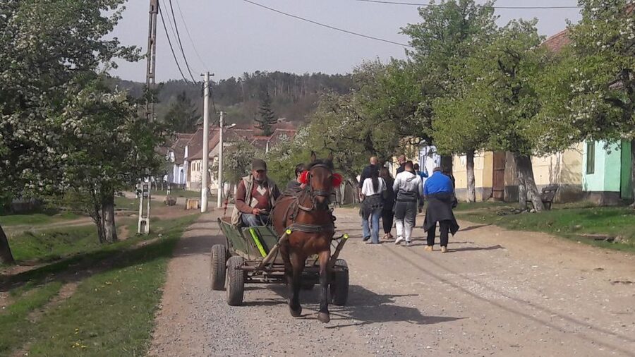 From Brasov: Sighisoara, Viscri, and Rupea Unesco Day Trip - The guide matters more than you think: what to expect in English