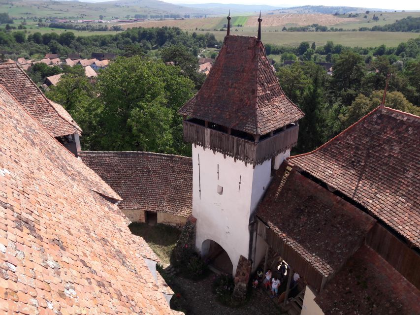 From Brasov: Sighisoara, Viscri, and Rupea Unesco Day Trip - Who should book this day trip from Brașov
