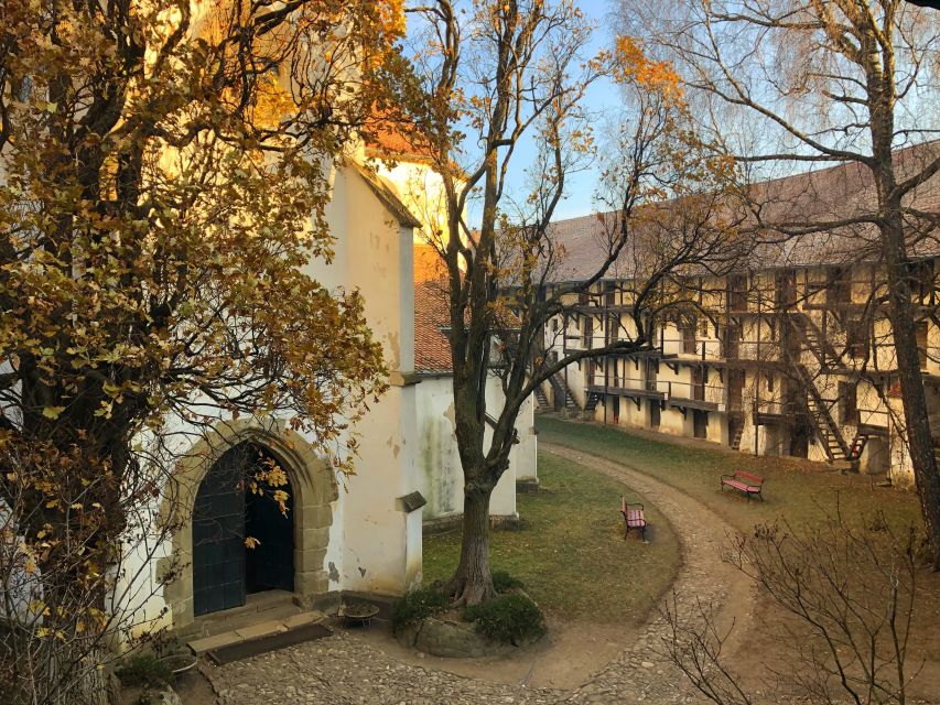 From Brasov: Small-Group Half-Day Fortified Churches Tour - Fortified Churches, in a Tight 3.5 Hours From Brasov