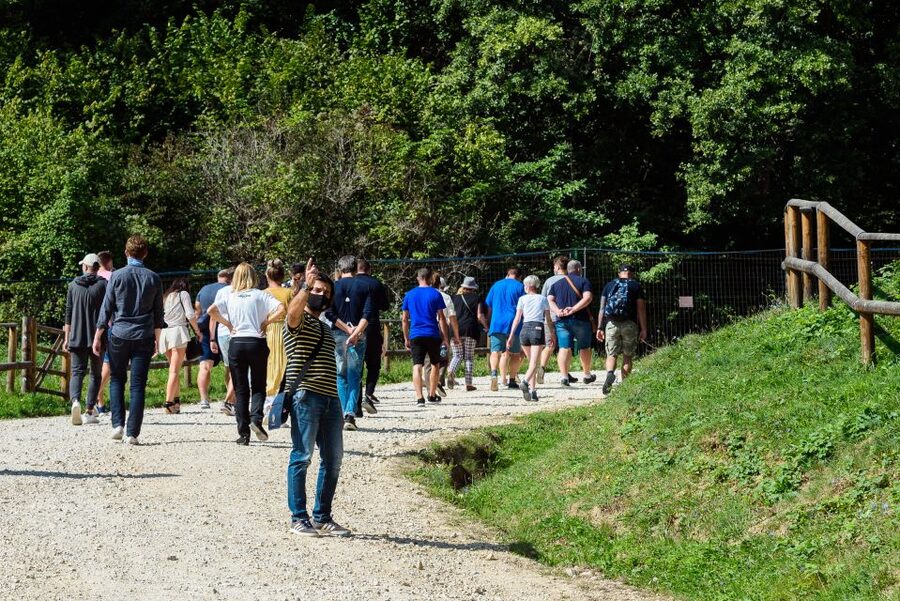 From Bucharest: Bear Sanctuary and Dracula Castle Day Tour - From Bucharest to Transylvania, how the timing really feels