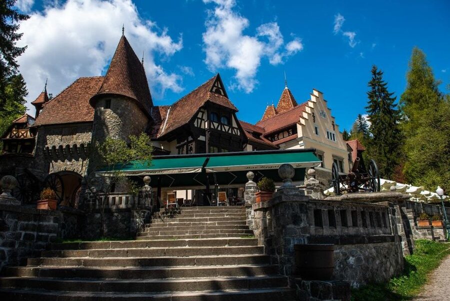 From Bucharest: Brasov Peles & Dracula's Castle Day Tour - Peleș Castle in Sinaia: royal splendor with ticket-smart handling