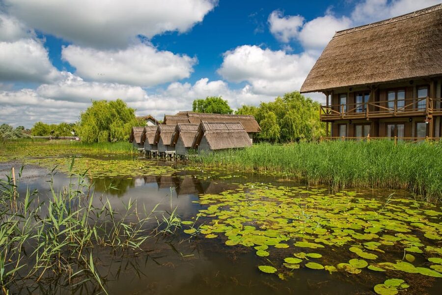 From Bucharest: Day Trip to Danube Delta - Getting to Tulcea: the early start and two pickup spots