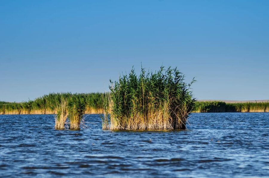 From Bucharest: Day Trip to Danube Delta - Fisherman’s lunch: simple, optional, and sometimes worth it