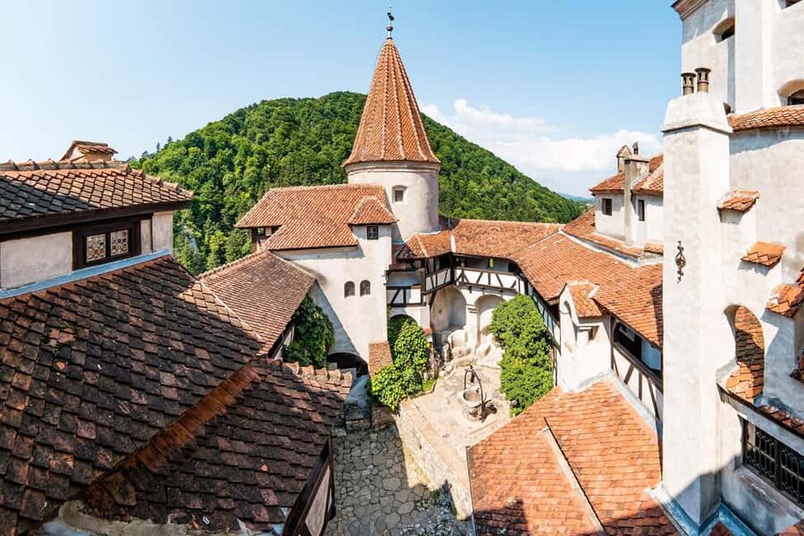 From Bucharest: Day Trip to Dracula's Castle, Peles & Brasov - Group size and guide quality: what the best parts feel like