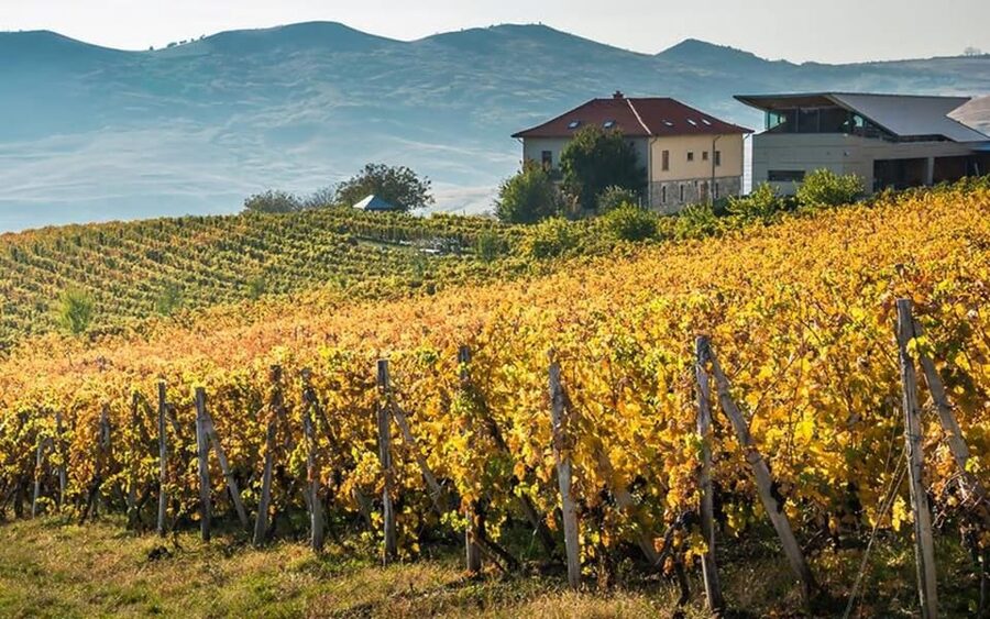 From Bucharest: Exclusive Dealu Mare Wine Tasting Tour - The Old Wine Road drive, where the scenery has context
