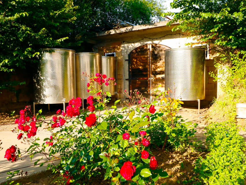 From Bucharest: Exclusive Dealu Mare Wine Tasting Tour - Lunch break: plan for a meal you control