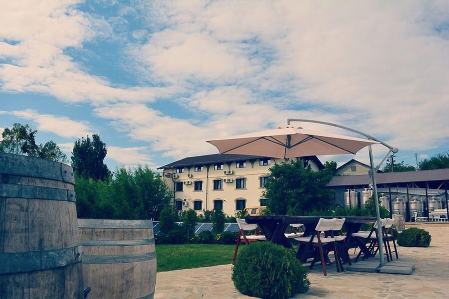 From Bucharest: Exclusive Dealu Mare Wine Tasting Tour - The 12 wines experience, and why the pairing plan helps you remember them