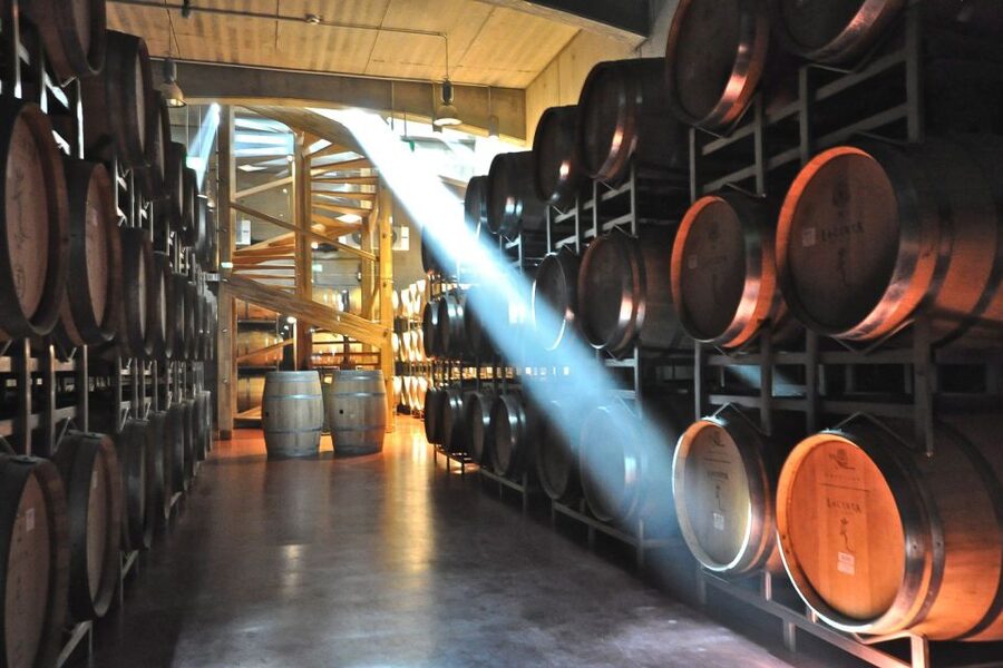 From Bucharest: Exclusive Dealu Mare Wine Tasting Tour - A quick Romanian wine backdrop that helps your tastings click