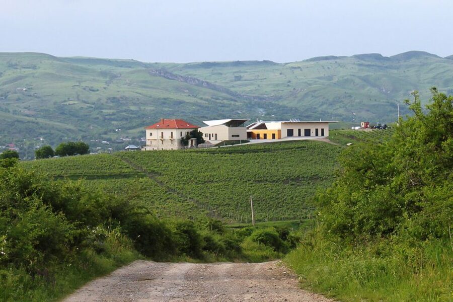 From Bucharest: Exclusive Dealu Mare Wine Tasting Tour - Price and what you’re really buying for $260 per person