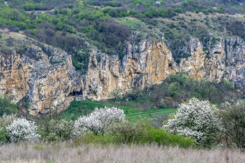 From Bucharest: Experience Bulgaria Small-Group Trip - Veliko Tarnovo, the City of Tsars, and its views