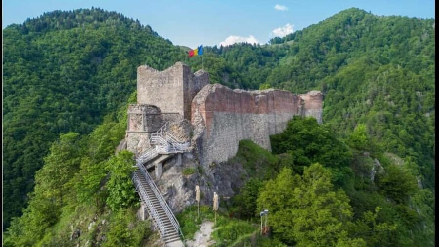 From Bucharest: Făgăraș Mountains and Bear Watching Tour - Meeting point and timing: how the day flows