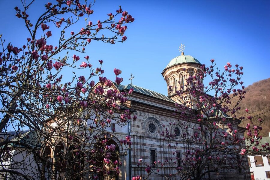 From Bucharest: Unravel Medieval Transylvania in 3-Day Tour - How to Make the Days Feel Smooth (Tickets, Walking, and Timing)