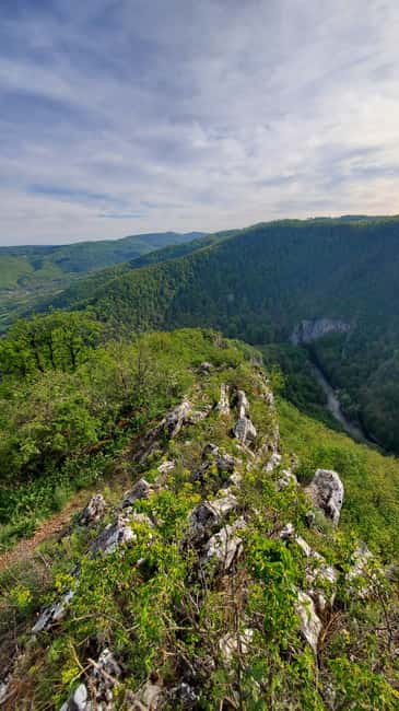 From Cluj: Gorges of Crisul Repede River - Hidden gem time: caves, citadels, and the limestone legend