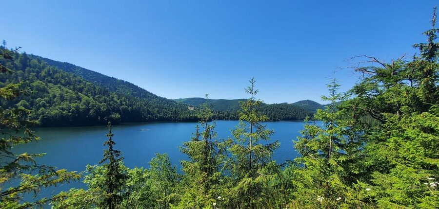 From Cluj: Mountain Bike around Lake Dragan - Passing Alunu Village: A Quiet Pause with a Panorama Above
