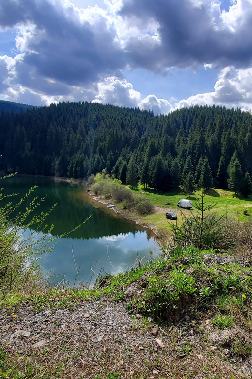 From Cluj: Mountain Bike around Lake Dragan - Value and Price: Is $163 Worth This 7-Hour Small-Group Ride?