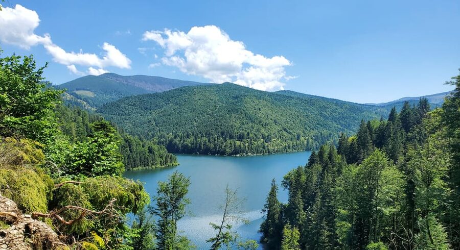 From Cluj: Mountain Bike around Lake Dragan - The First Descent on Narrow Forest Roads to Lake Dragan’s Right Arm