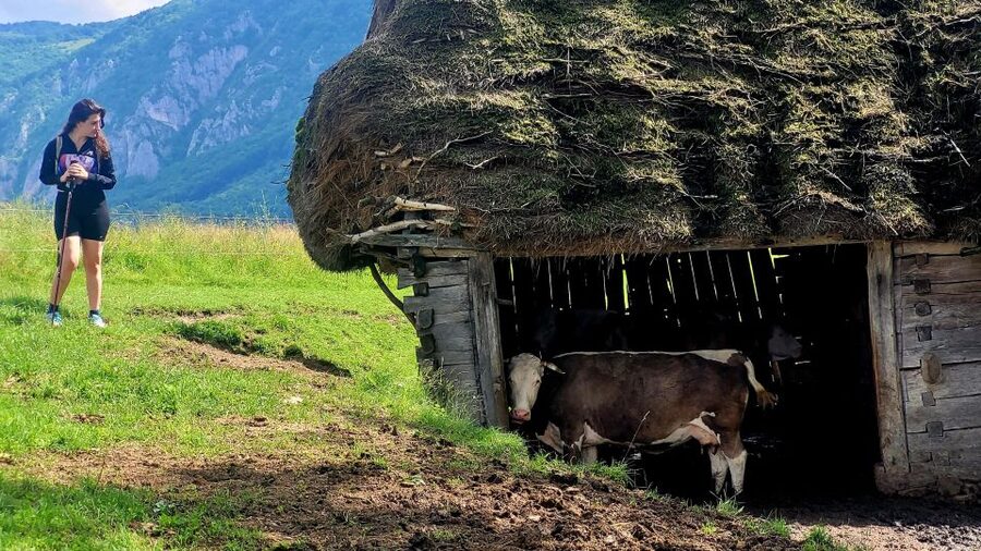 From Cluj-Napoca: Apuseni Mountains Hiking Guided Day Tour - From Cluj-Napoca to Posaga de Sus: a long start that pays off