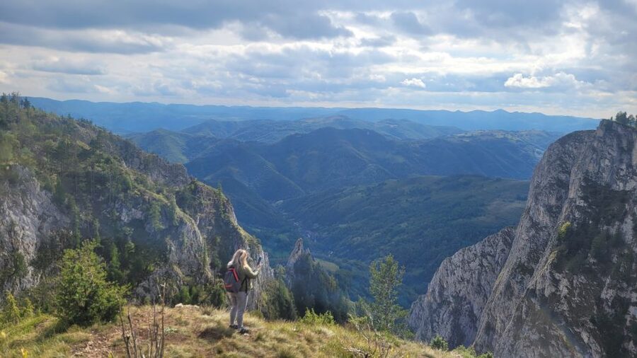 From Cluj-Napoca: Apuseni Mountains Hiking Guided Day Tour - Scarita-Belioara reserve: rare plants and long survival stories