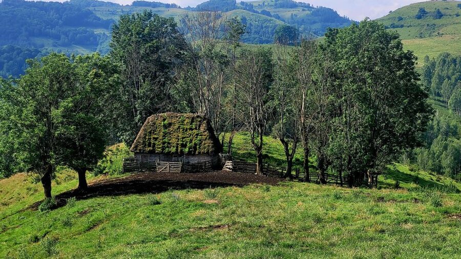 From Cluj-Napoca: Apuseni Mountains Hiking Guided Day Tour - The optional Sipote waterfall and Dumesti village stop