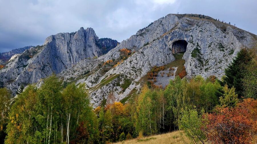 From Cluj-Napoca: Apuseni Mountains Hiking Guided Day Tour - The beech forest hike: where the trail feels alive