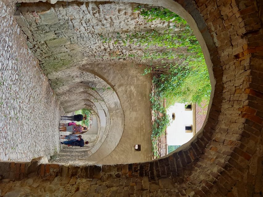 From Cluj: Sighișoara and Church of Biertan Guided Tour - Key points before you go