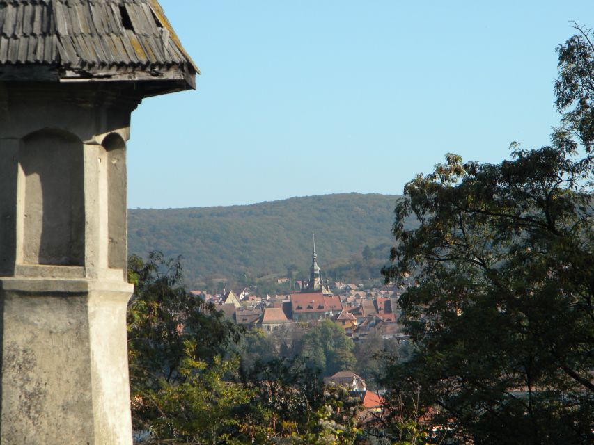From Cluj: Sighișoara and Church of Biertan Guided Tour - Price and value: what $115 gets you