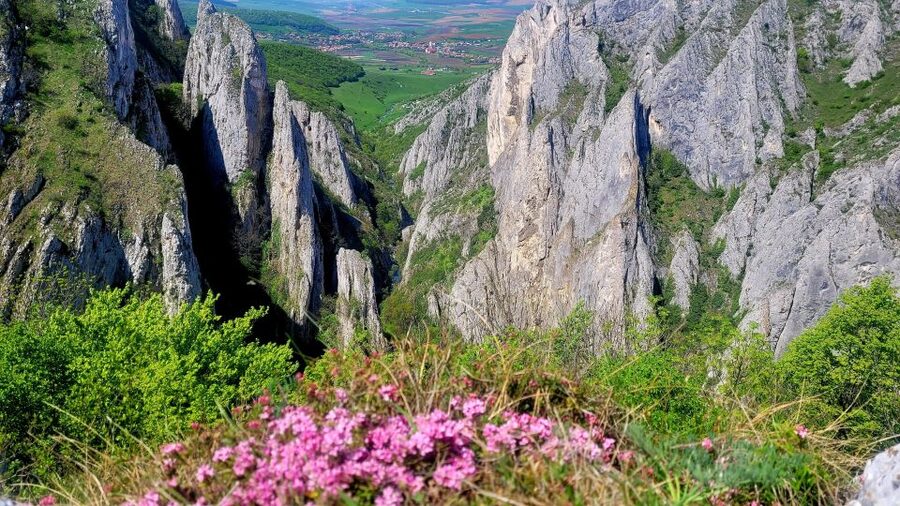 From Cluj: Turda Salt Mine, Gorge, and Remetea Full-Day Trip - Should you book the Cluj to Turda Mine, Gorge and Rimetea trip?