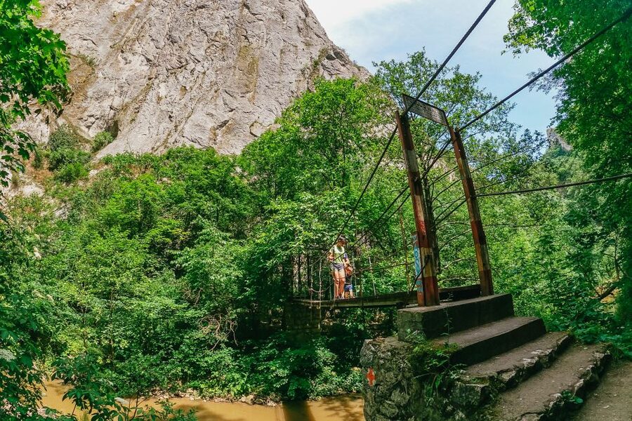 From Cluj: Turda Salt Mine, Gorge, and Remetea Full-Day Trip - Rimetea village: white houses, green windows, slow Transylvanian time