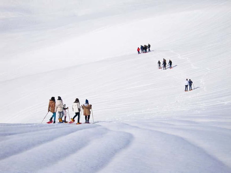 From Cluj: Winter Walking Trip on the Great Mountain - Key Highlights You’ll Feel Immediately