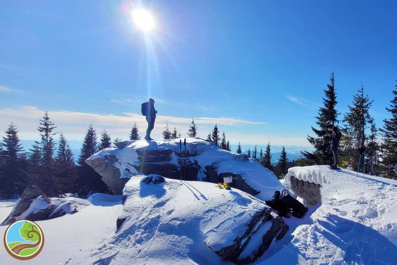 From Cluj: Winter Walking Trip on the Great Mountain - Snowshoe Setup and Walking Tips for Deep Snow