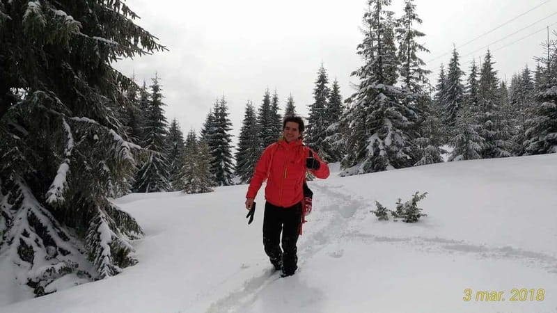 From Cluj: Winter Walking Trip on the Great Mountain - Price and Value: What $115 Gets You (And Why It’s Not Just the Hike)