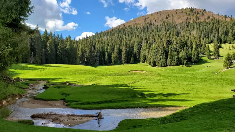From Oradea: Apuseni Mountains Guided Hiking Tour - Entering Bihor County With Included Oradea Pickup
