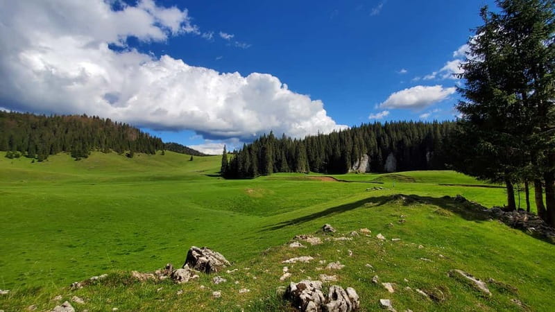 From Oradea: Apuseni Mountains Guided Hiking Tour - Onceasa Valley to Glavoi Stables, Where Pastoral Life Actually Matters