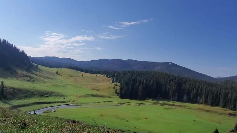 From Oradea: Apuseni Mountains Guided Hiking Tour - Ponor Plain Views: The Flooded Plain That Changes the Feeling of the Hike